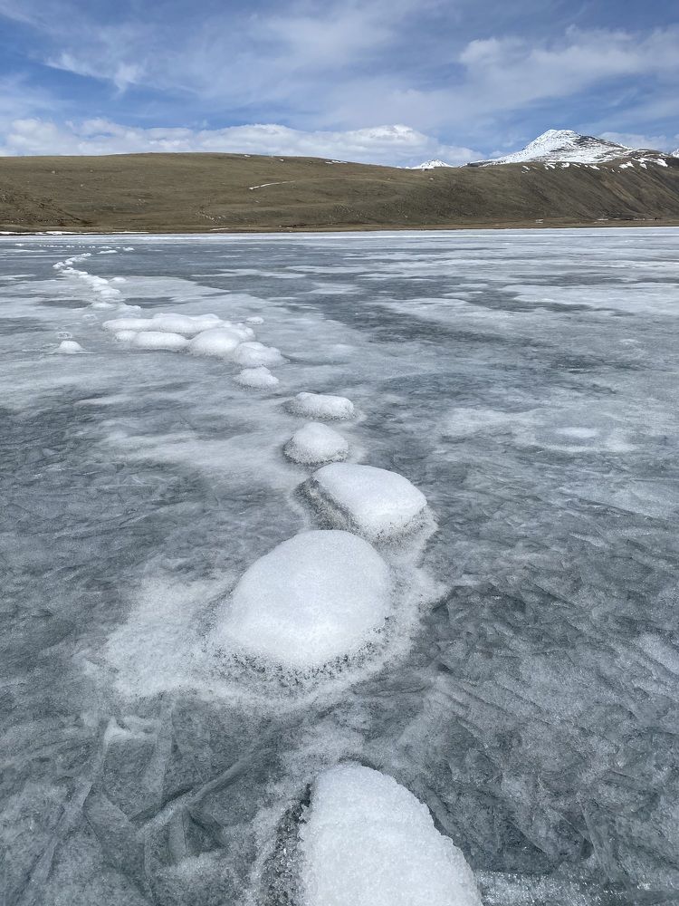 Фотография автора Ольга Горюнова