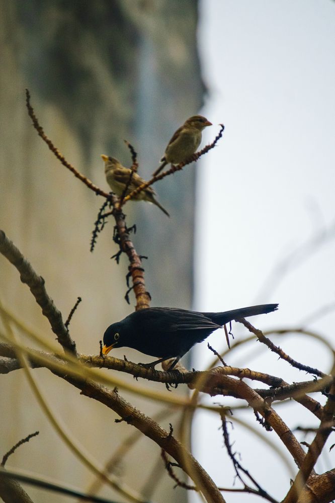 Photograph by kamel draa