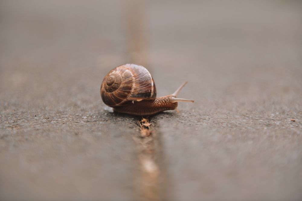 Photograph by Алиса Никитина
