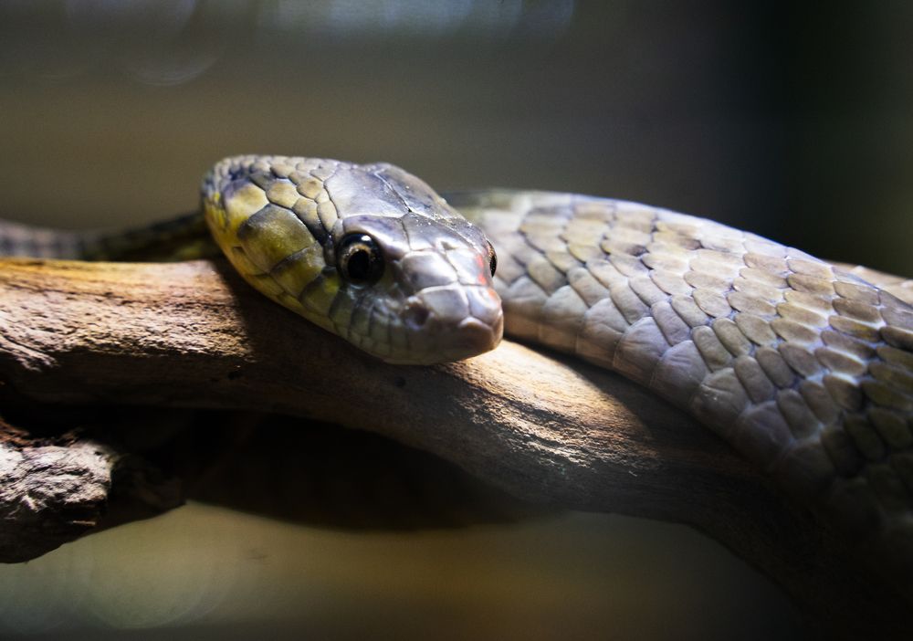 Photograph by Aleksandr Kolonsky