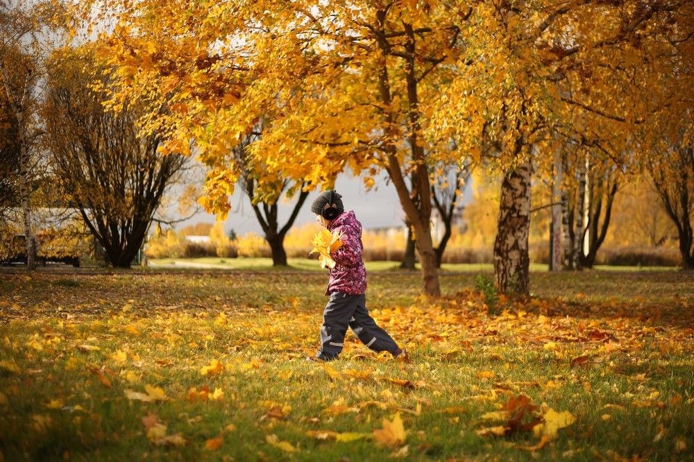 Photograph by Наталья Муравейко