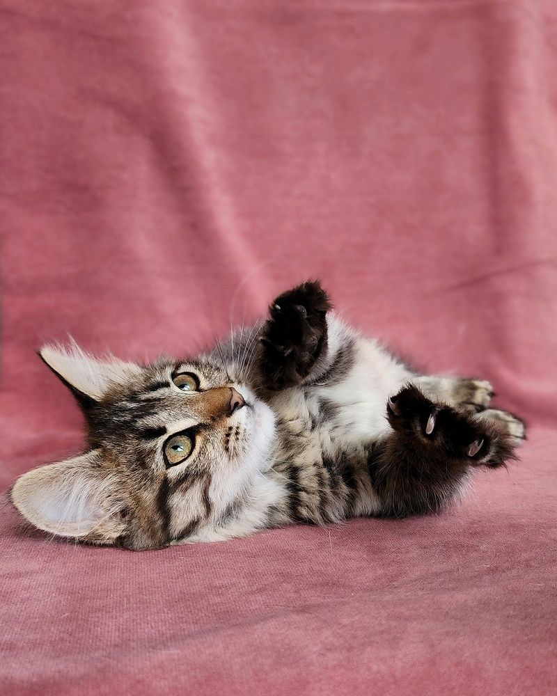 Photograph by Ольга