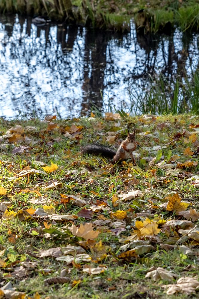 Photograph by Ольга Михайлова
