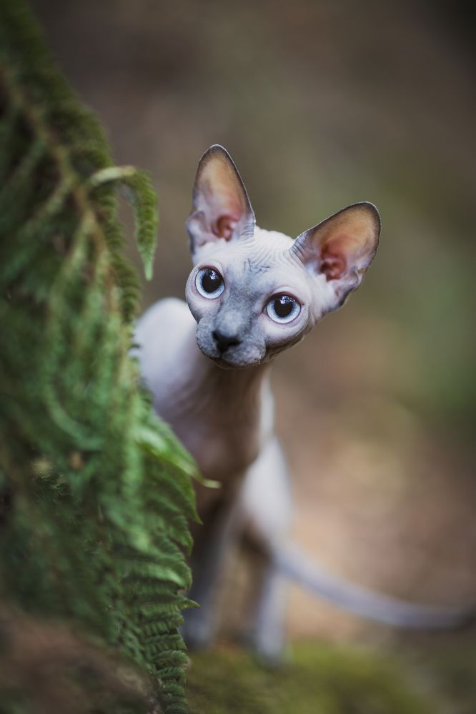 Photograph by GRISELDA FERNANDEZ