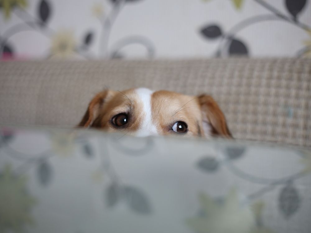 Photograph by Наталья Муравейко