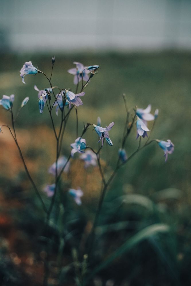 Фотография автора Екатерина Устинкина