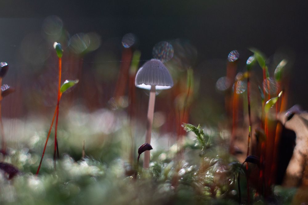 Photograph by Андрей Кульков