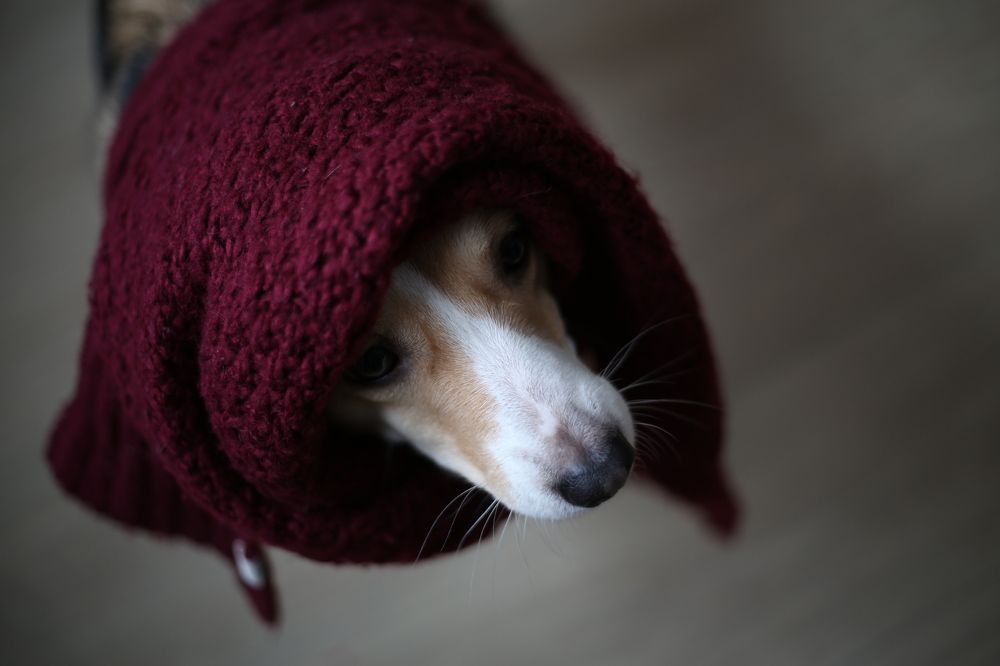 Photograph by Наталья Муравейко