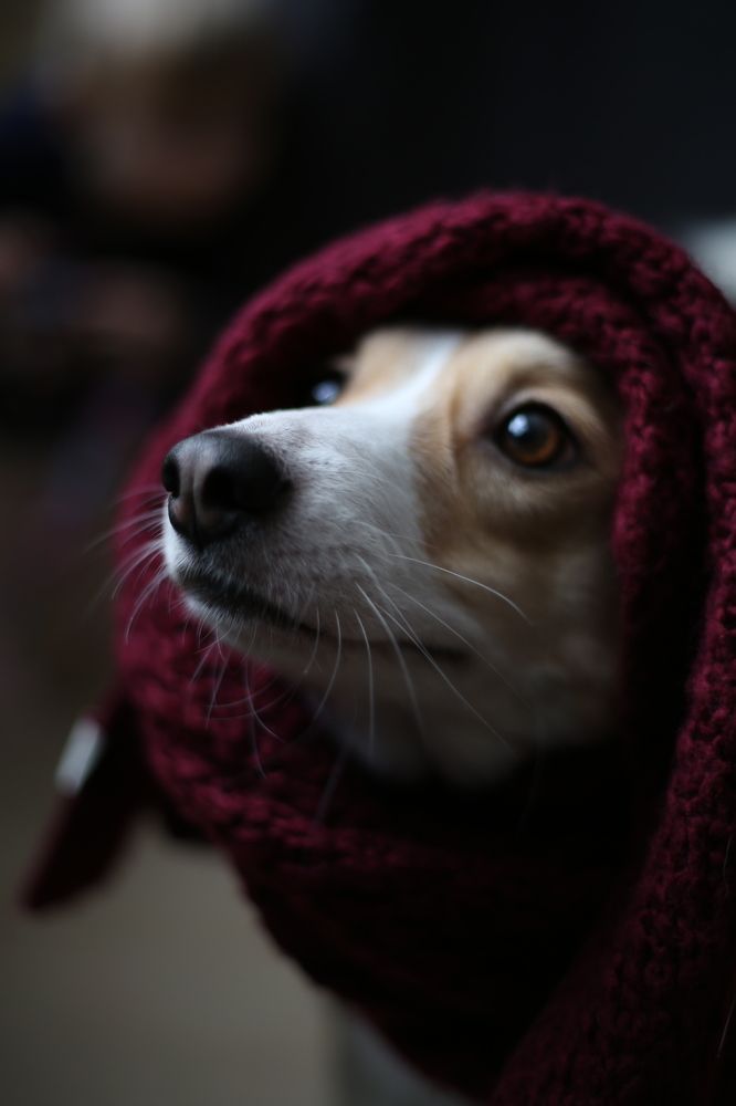 Photograph by Наталья Муравейко