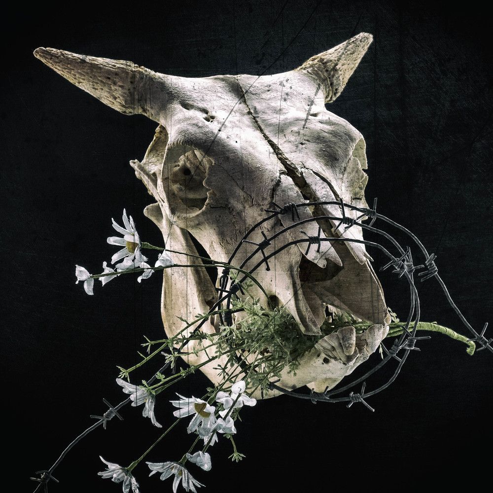 Photograph by Sasha Gorben