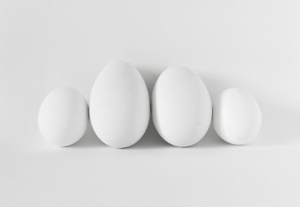 Photograph by Polina Mishina