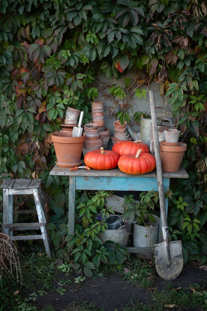 Photograph by Оксана Смирнова