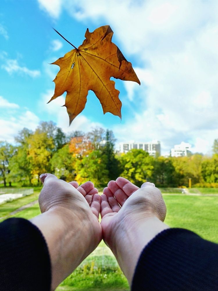 Photograph by Ольга Терскова