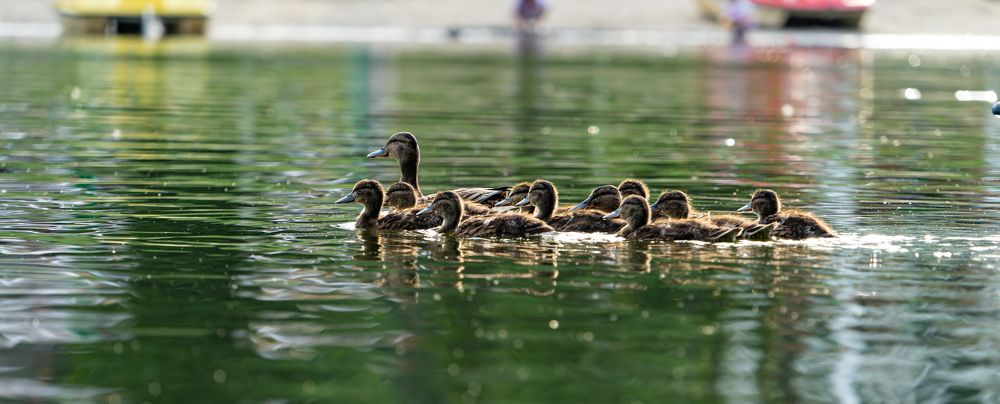 Photograph by Дмитрий