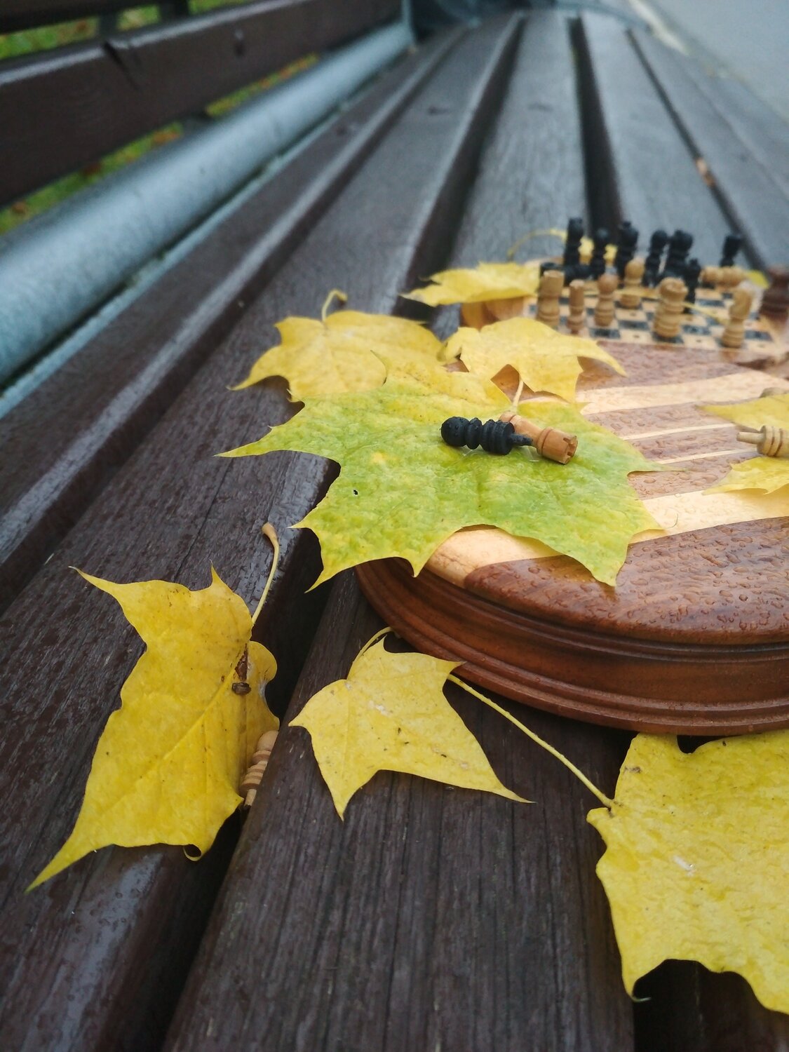 Photo #9753616