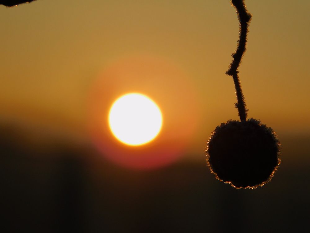 Photograph by Сергей Чеченов