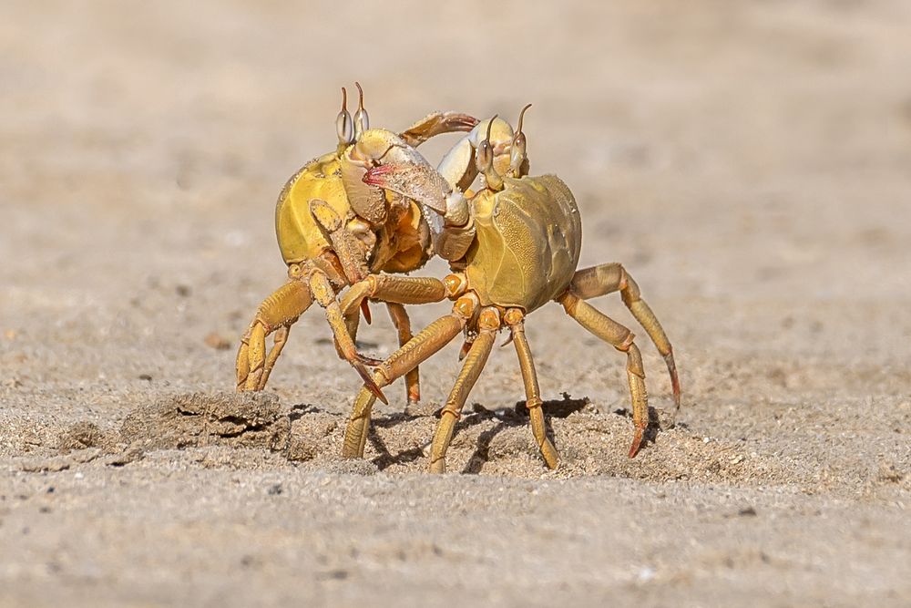 Photograph by Laila Bidah