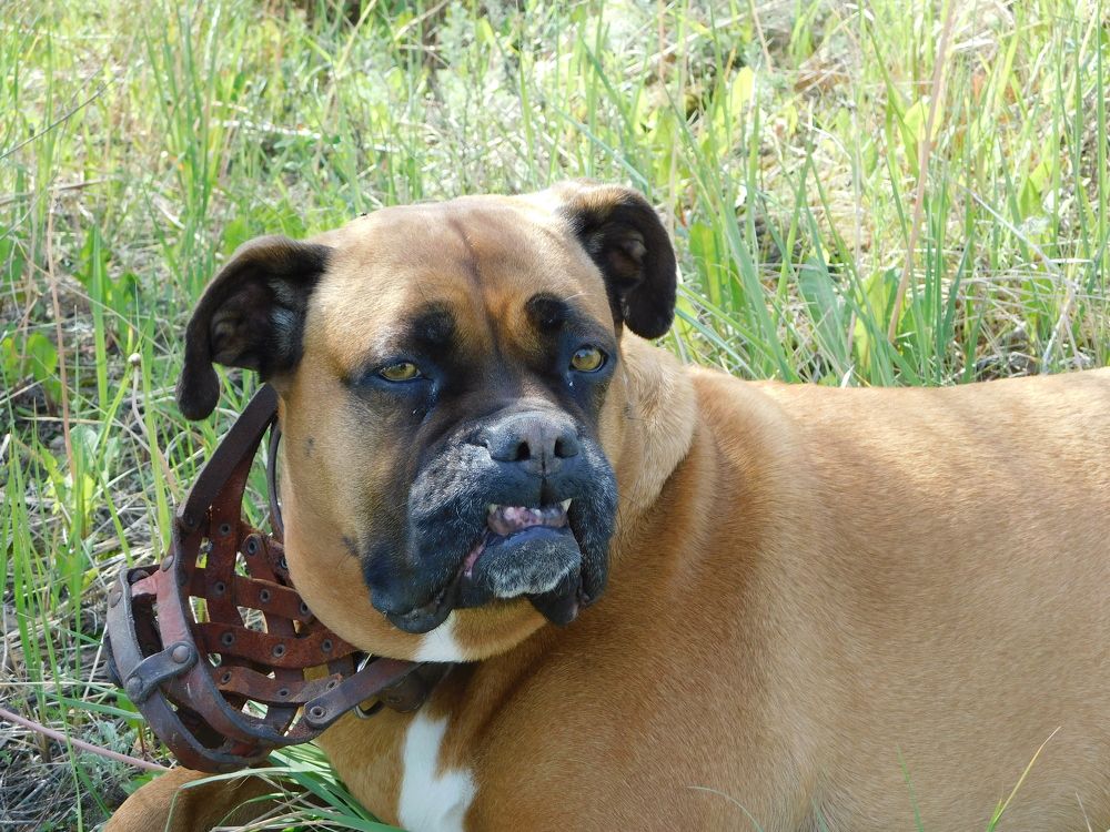 Photograph by Сергей Чеченов