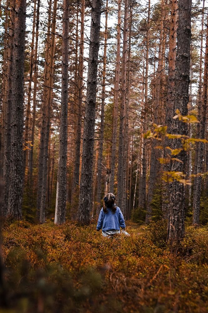 Photograph by Катя Цвет