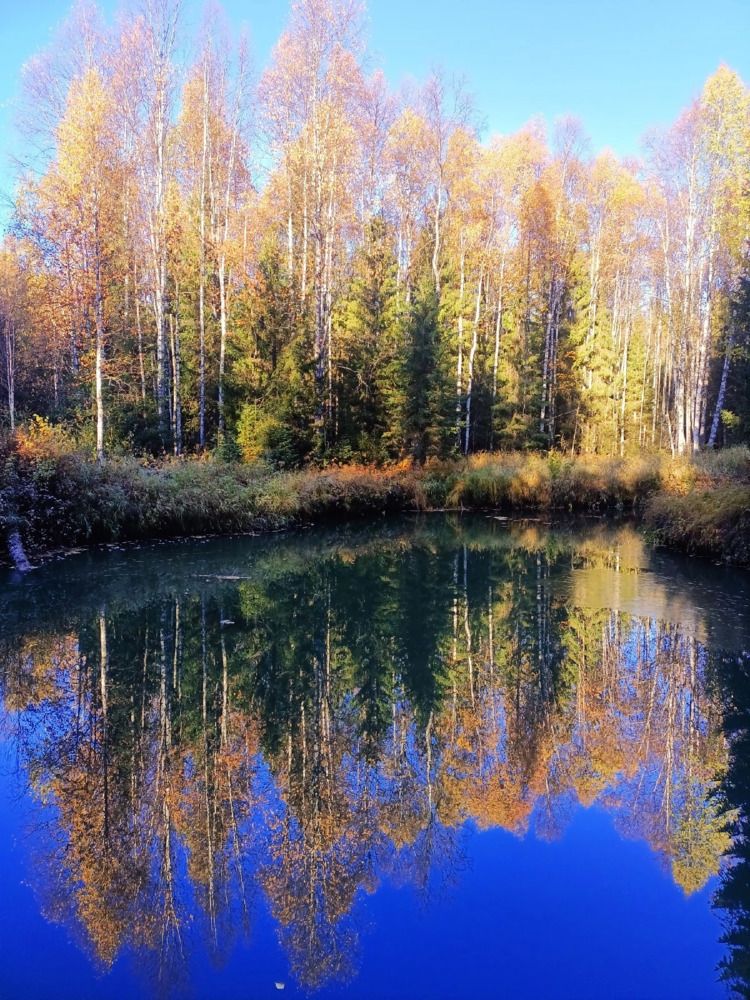 Photograph by Александр