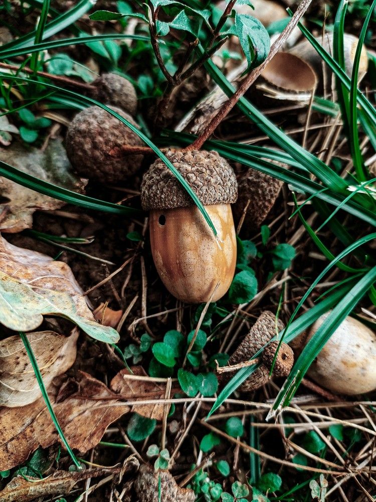 Photograph by Edgar Guillén