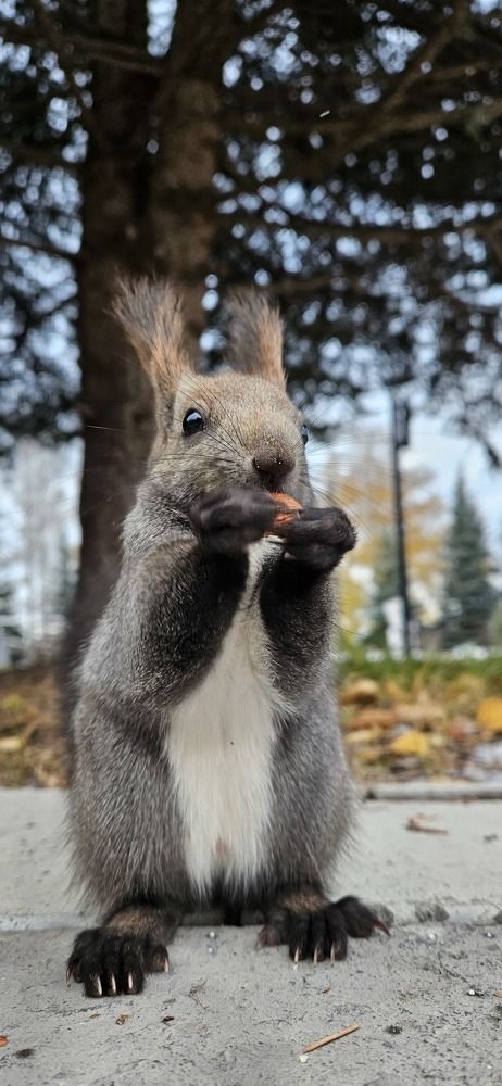 Photograph by Дмитрий