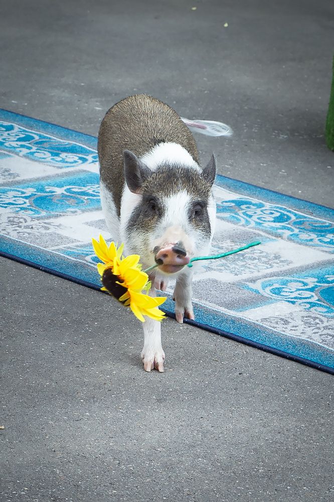 Photograph by Екатерина Рябинина