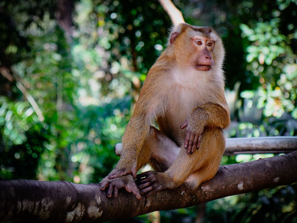 Photograph by Екатерина Слепнева