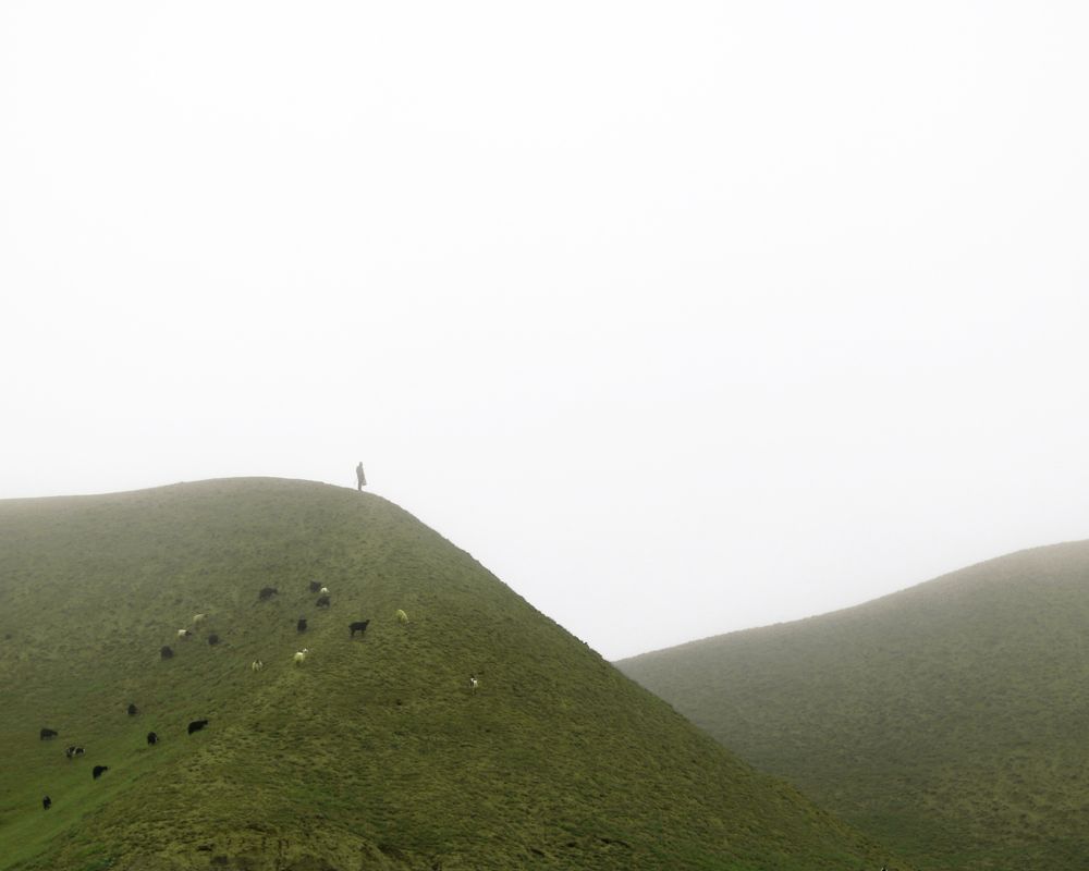 Фотография автора Mohammad davarpanah