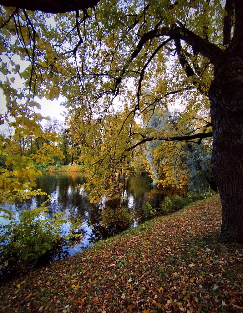 Photograph by Ольга Терскова