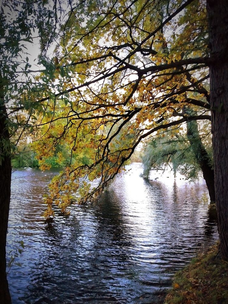 Photograph by Ольга Терскова