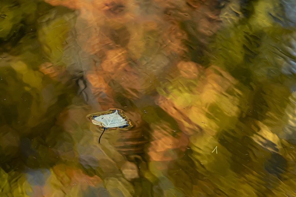 Photograph by Юлия Куликова