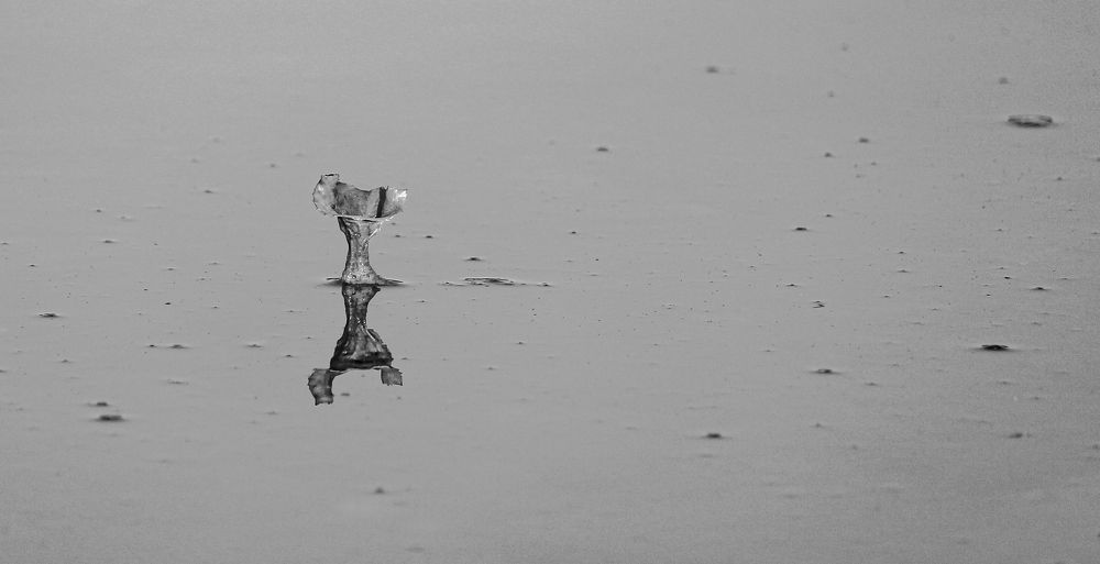 Фотография автора Александр Довганюк