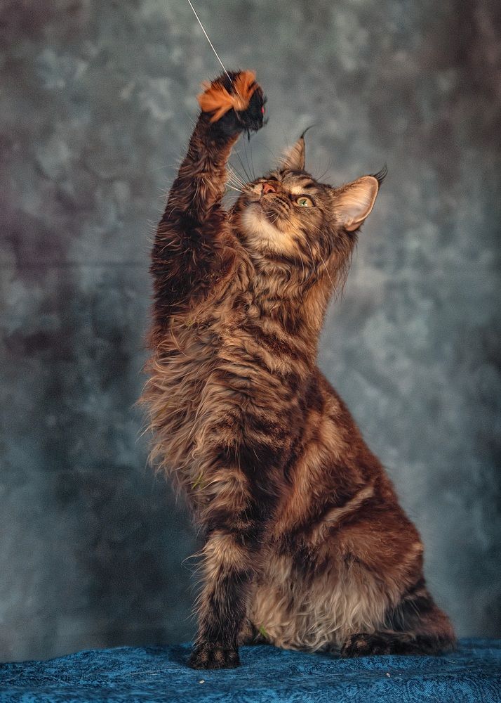 Photograph by Милана Бабченко