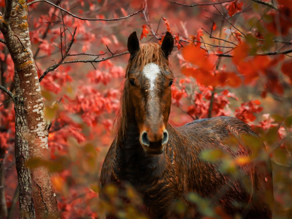 Photograph by Giuseppe Catalano