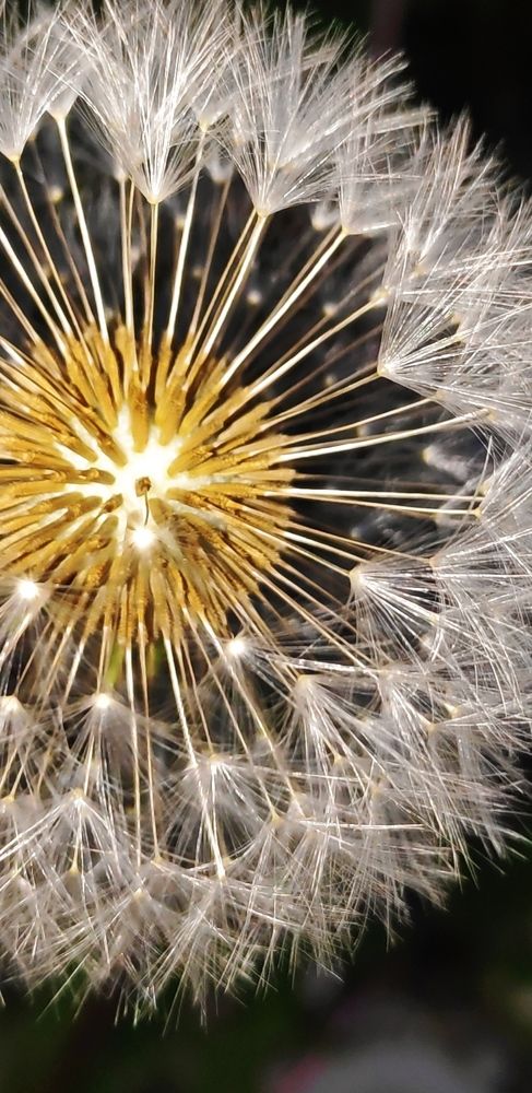 Photograph by Elena Goncharova