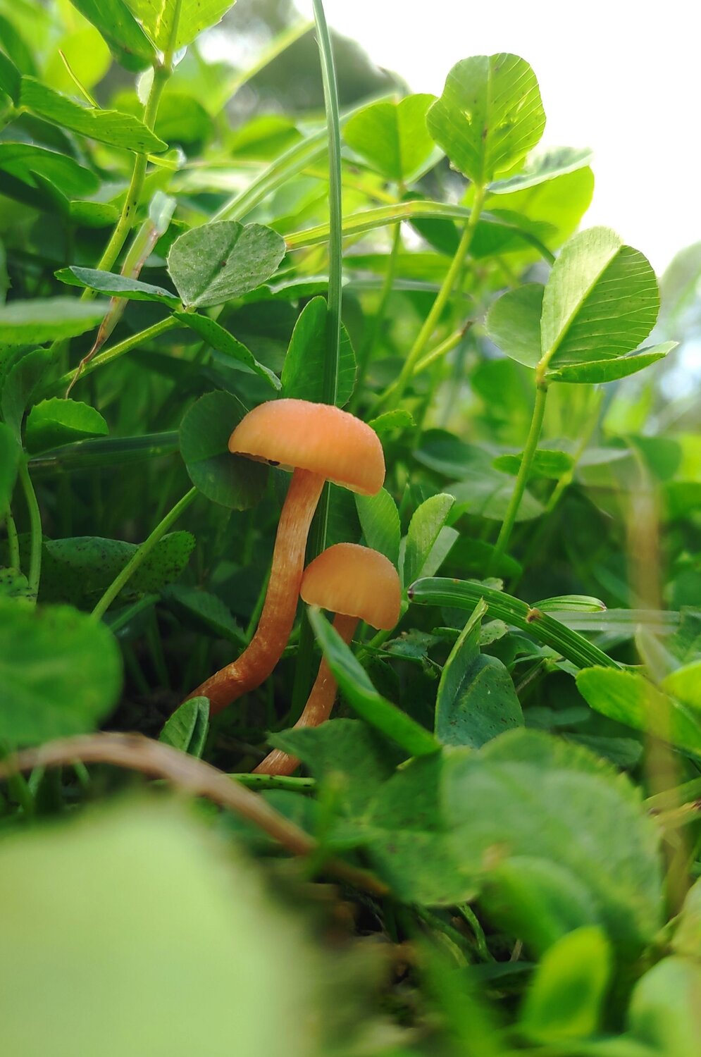 Photo #9753981
