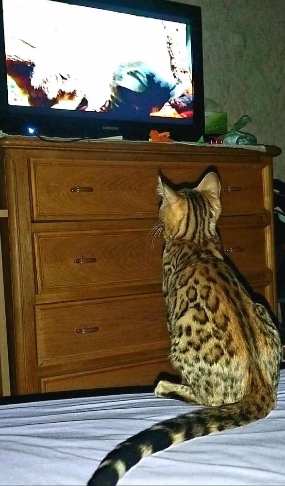 Фотография автора Сергей Можаев