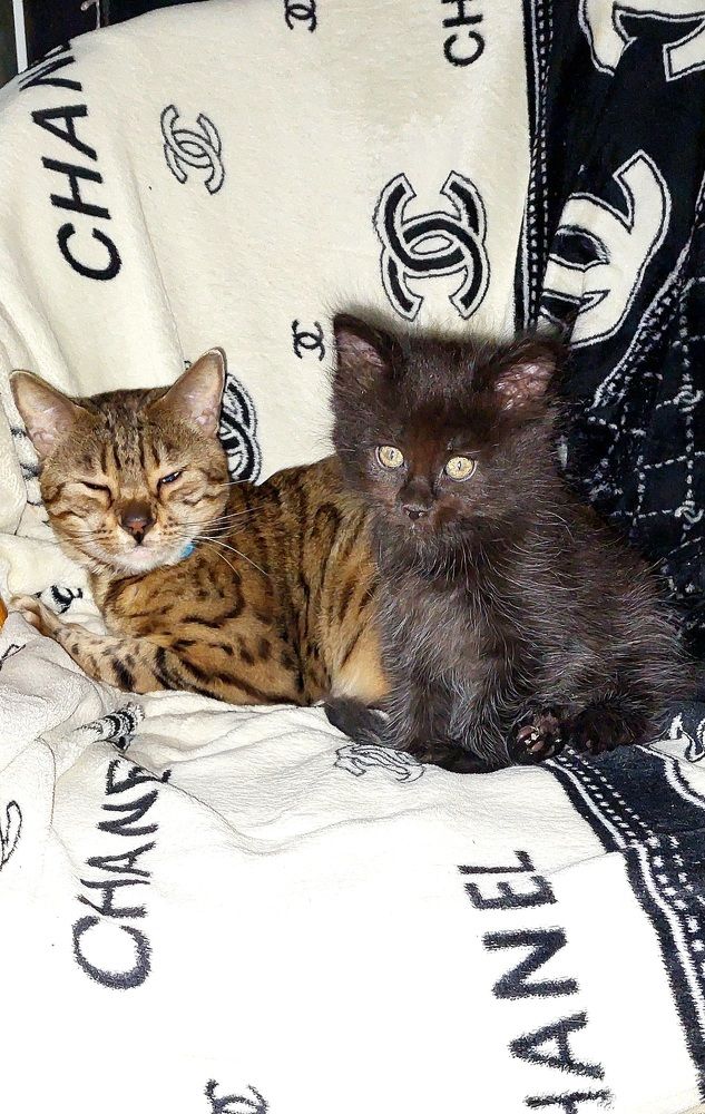 Фотография автора Сергей Можаев