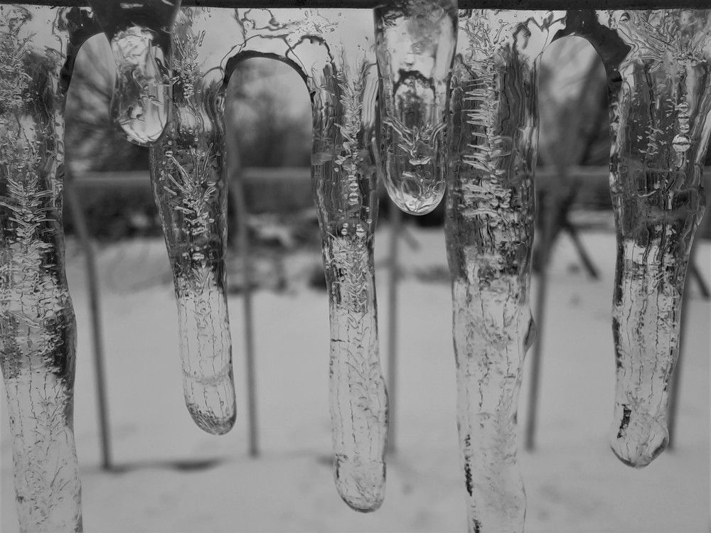 Фотография автора Елена Пикатова