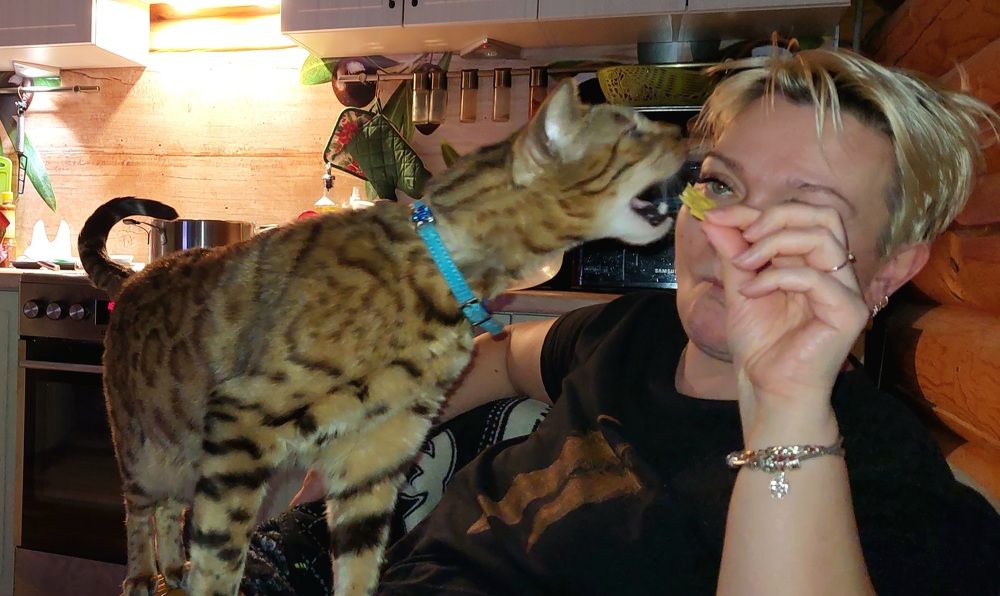 Фотография автора Сергей Можаев