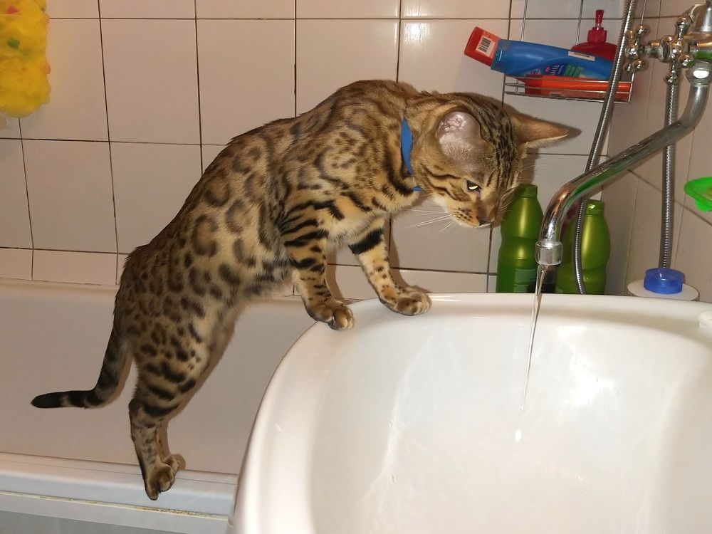 Фотография автора Сергей Можаев