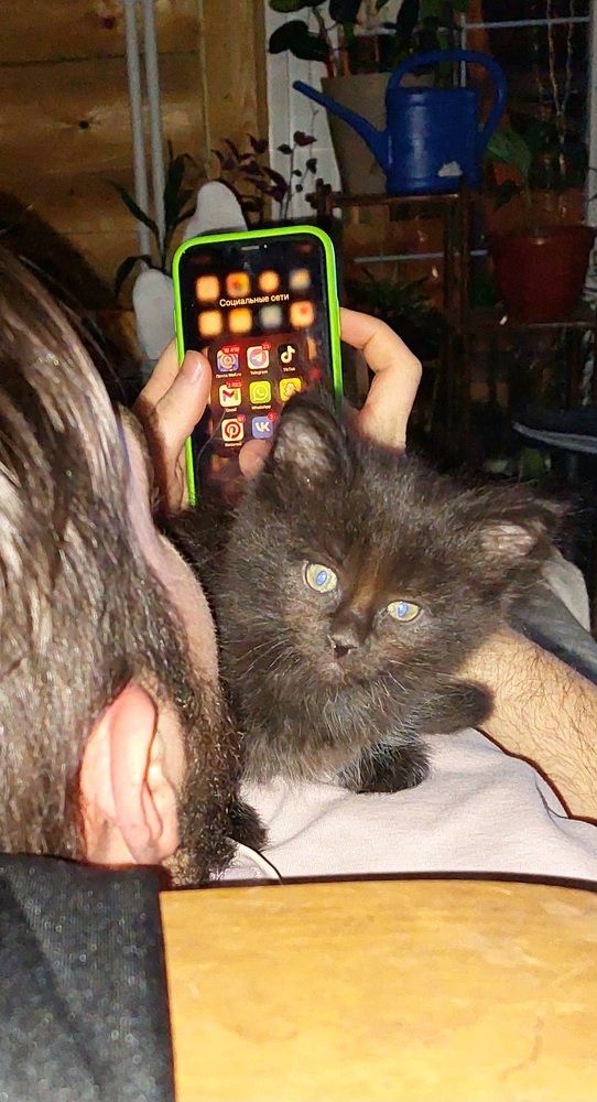 Фотография автора Сергей Можаев