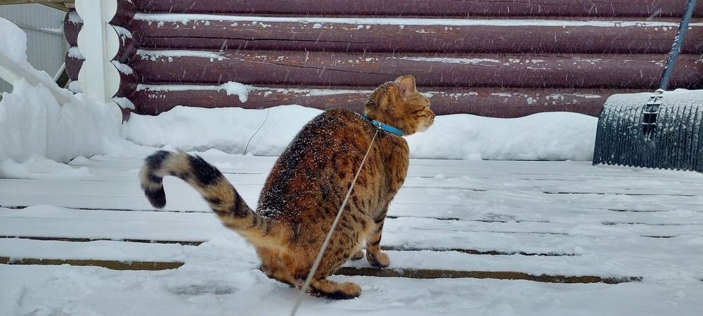 Фотография автора Сергей Можаев