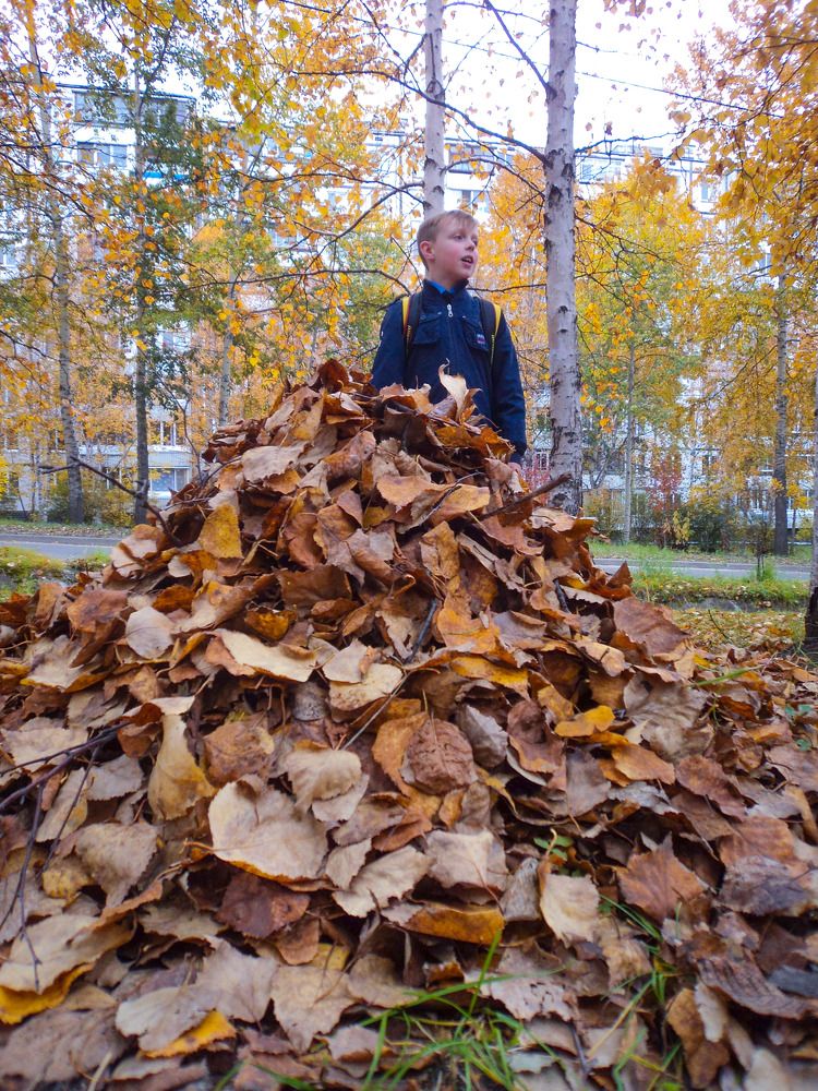 Photograph by Михаил Мархинин