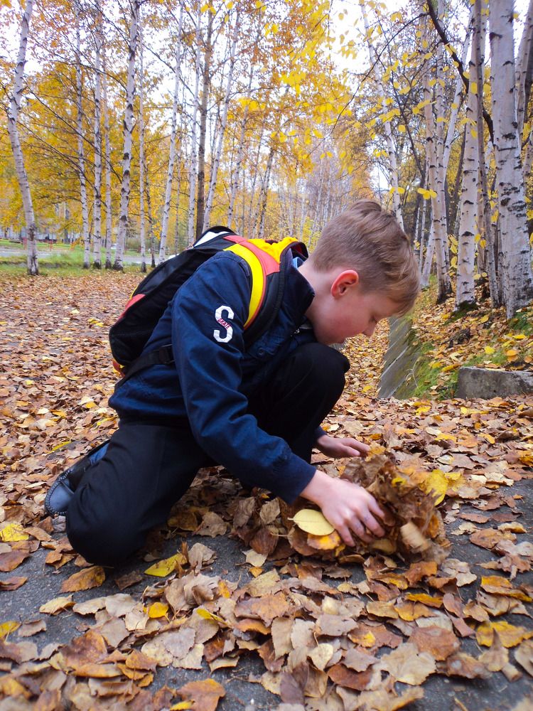 Photograph by Михаил Мархинин