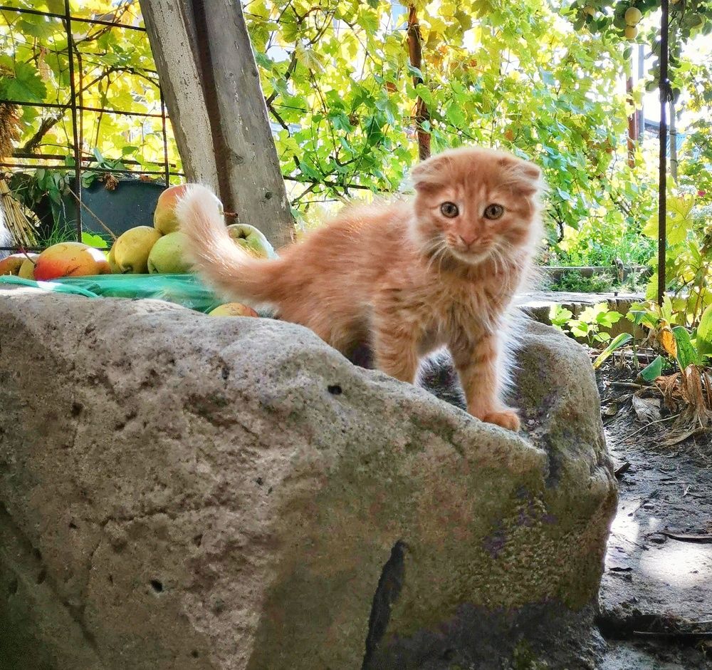 Photograph by 