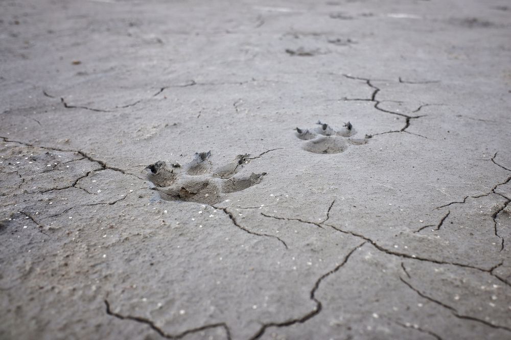 Photograph by Зорин Миша