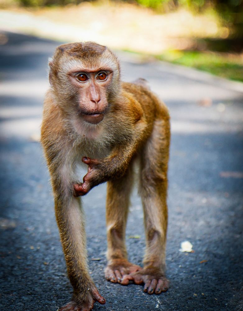 Photograph by Екатерина Слепнева