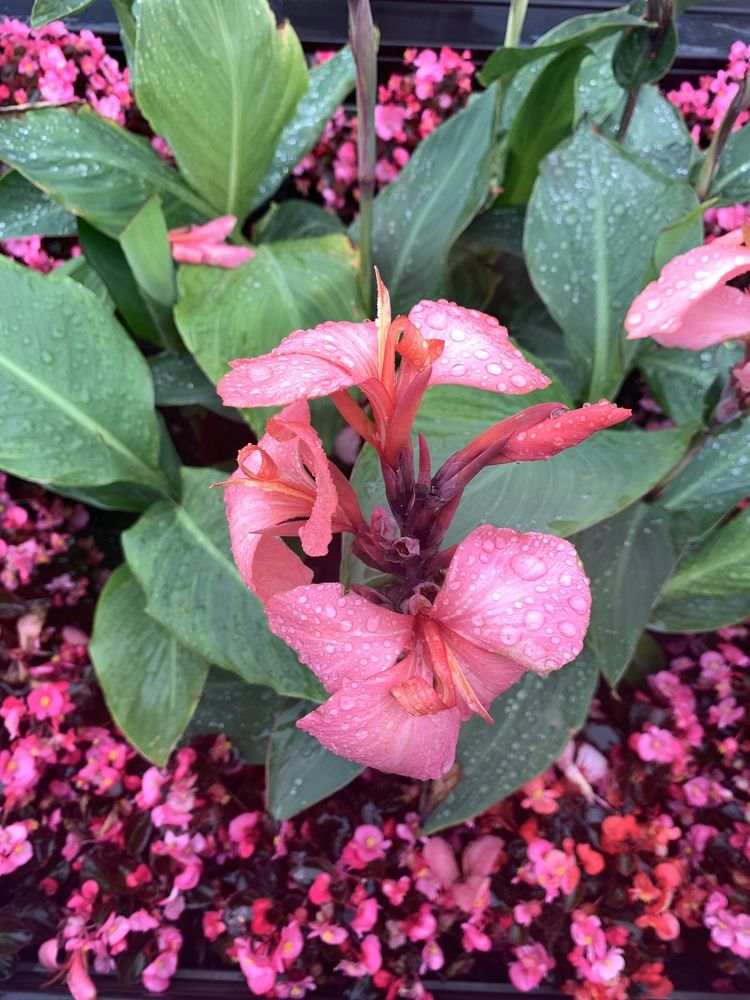 Photograph by Инна Шикуева